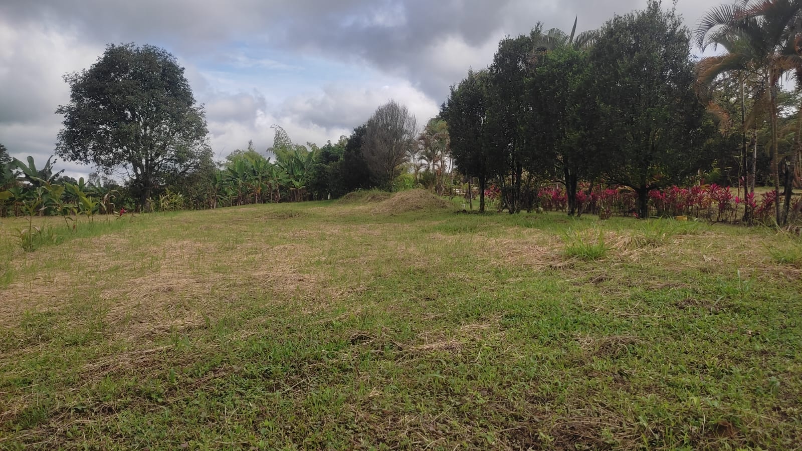 Lote en venta en Pueblo Tapao, Armenia, 3122 m² · foto 3 de 16