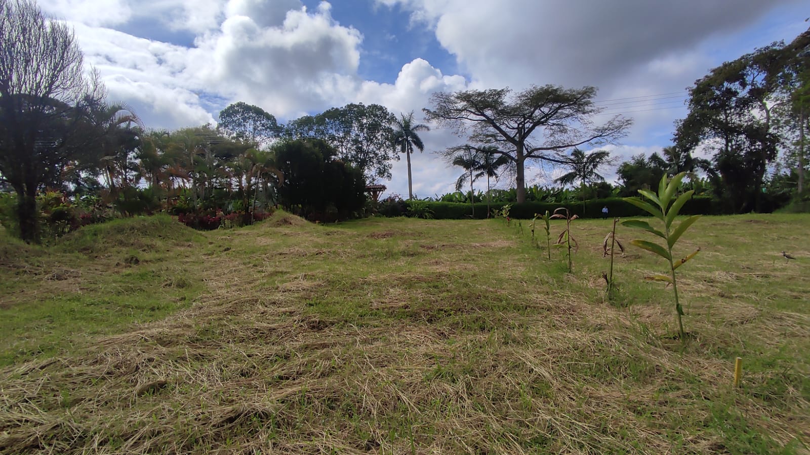 Lote en venta en Pueblo Tapao, Armenia, 3122 m² · foto 4 de 16