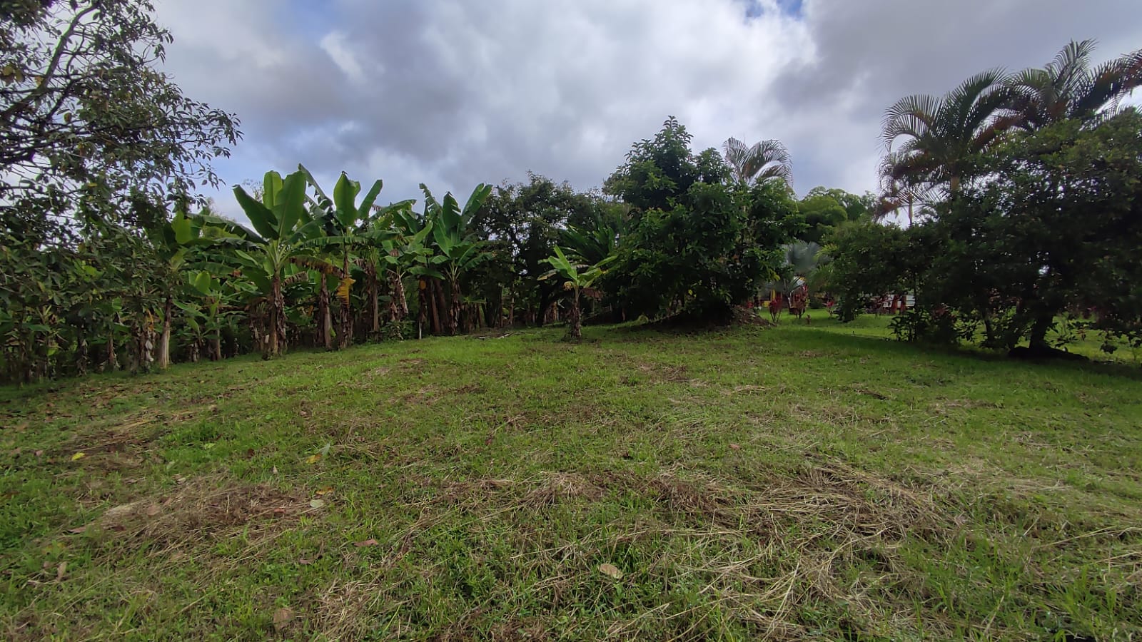 Lote en venta en Pueblo Tapao, Armenia, 3122 m² · foto 5 de 16