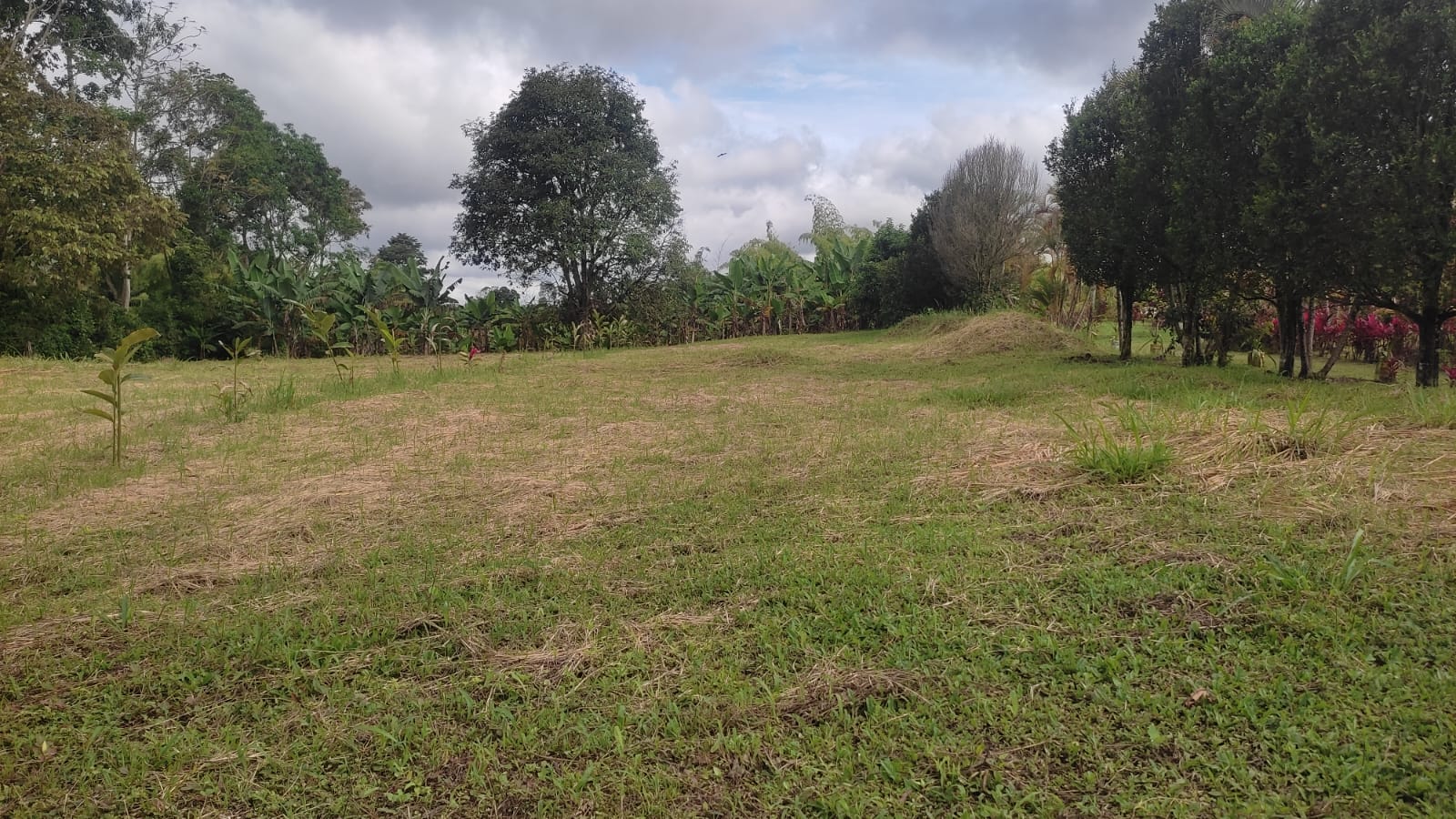 Lote en venta en Pueblo Tapao, Armenia, 3122 m² · foto 6 de 16