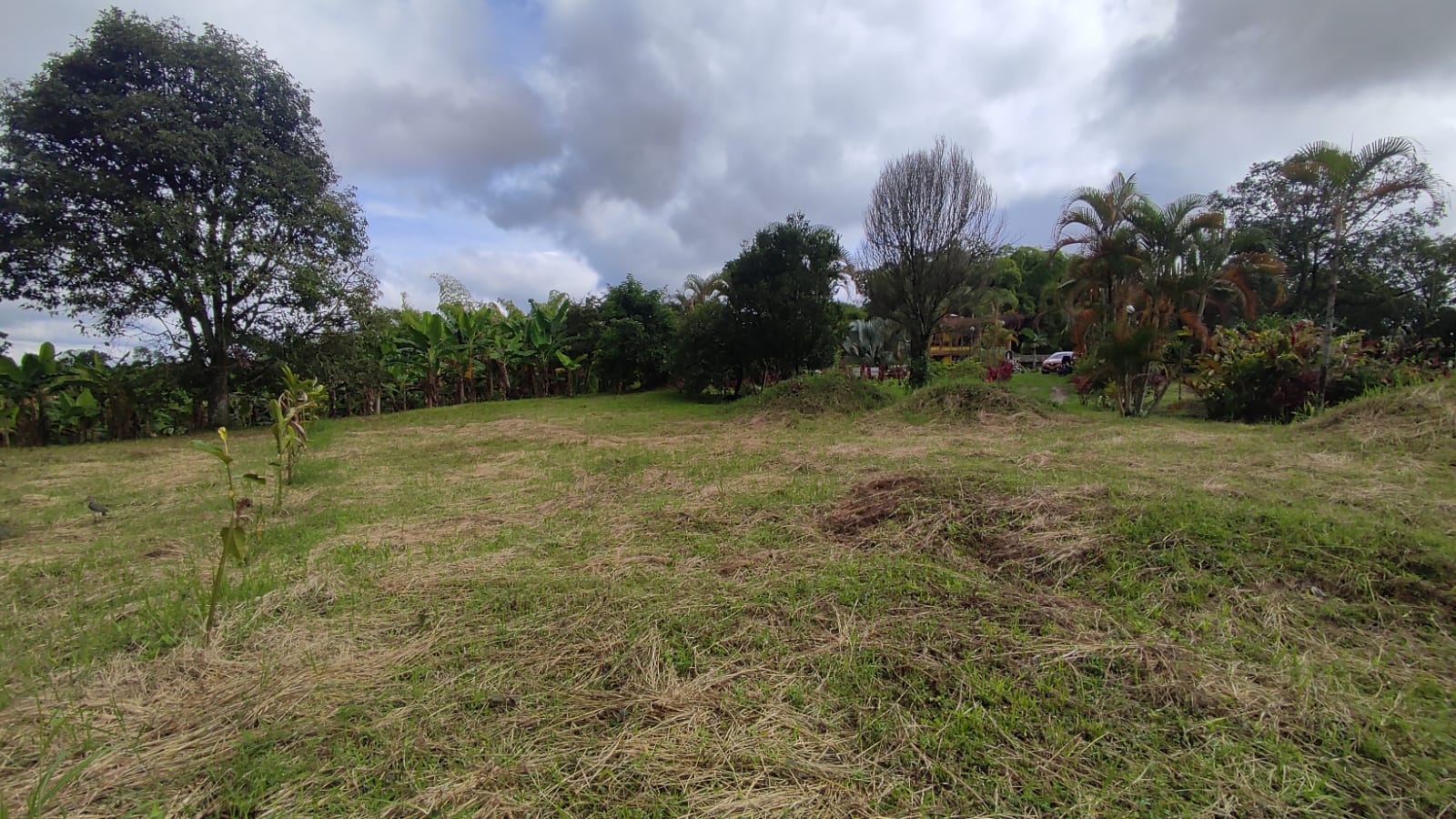 Lote en venta en Pueblo Tapao, Armenia, 3122 m² · foto 7 de 16