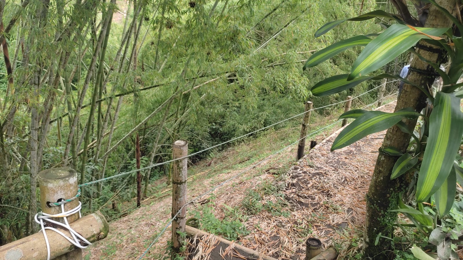 Lote en venta en Pueblo Tapao, Armenia, 3122 m² · foto 9 de 16