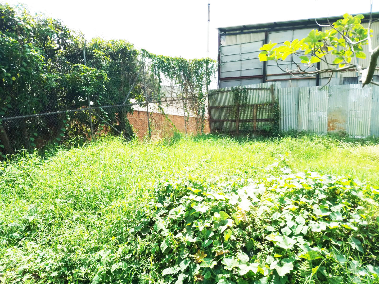Lote en arriendo en Suramerica, La Estrella, 1200 m² · foto 14 de 15