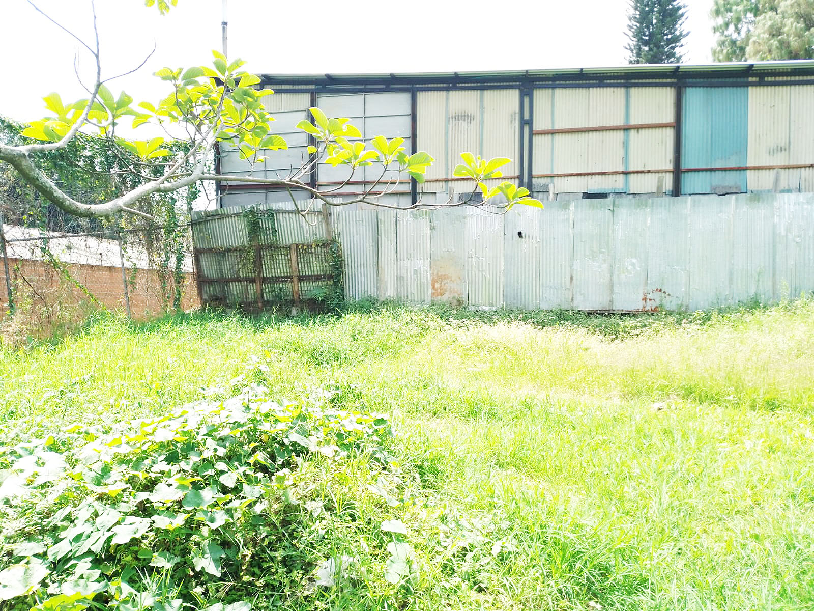 Lote en arriendo en Suramerica, La Estrella, 1200 m² · foto 15 de 15