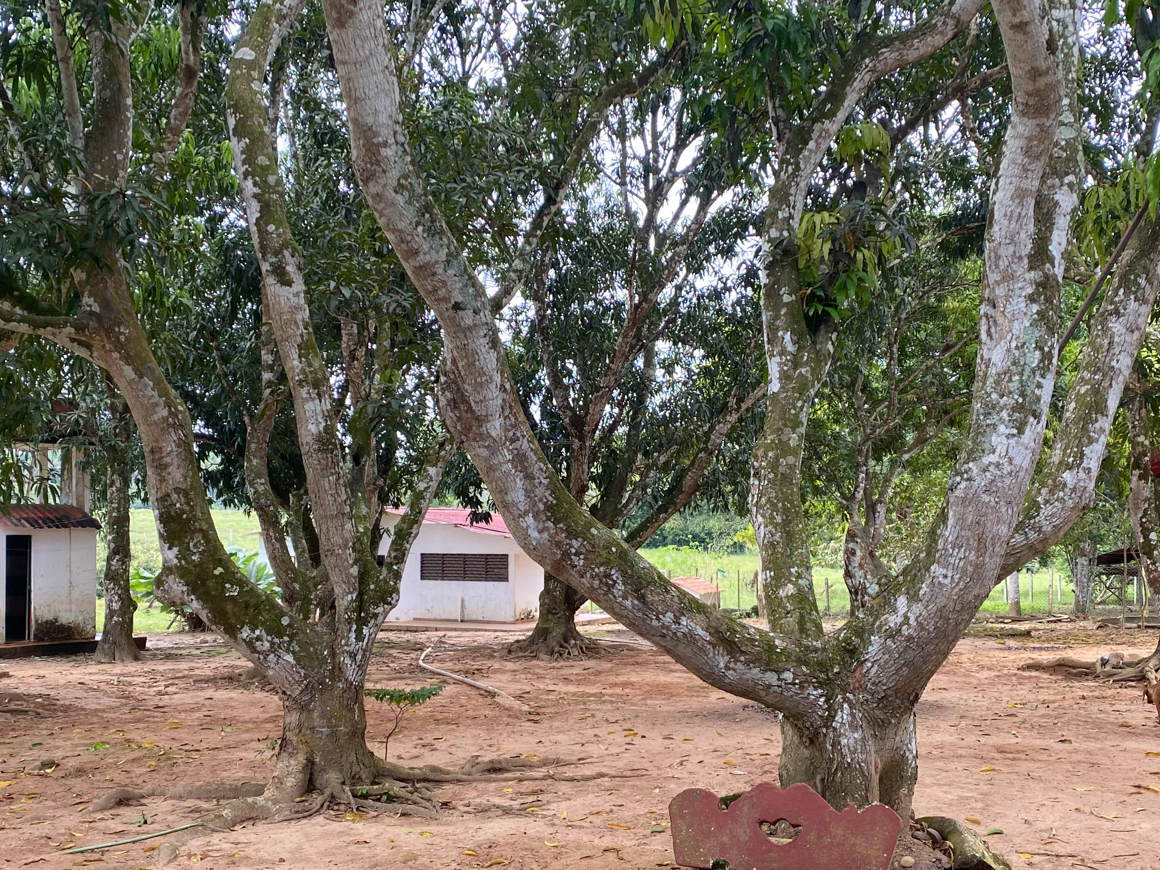 Finca en venta en La Llanerita, Villavicencio, 155 m² · foto 16 de 18
