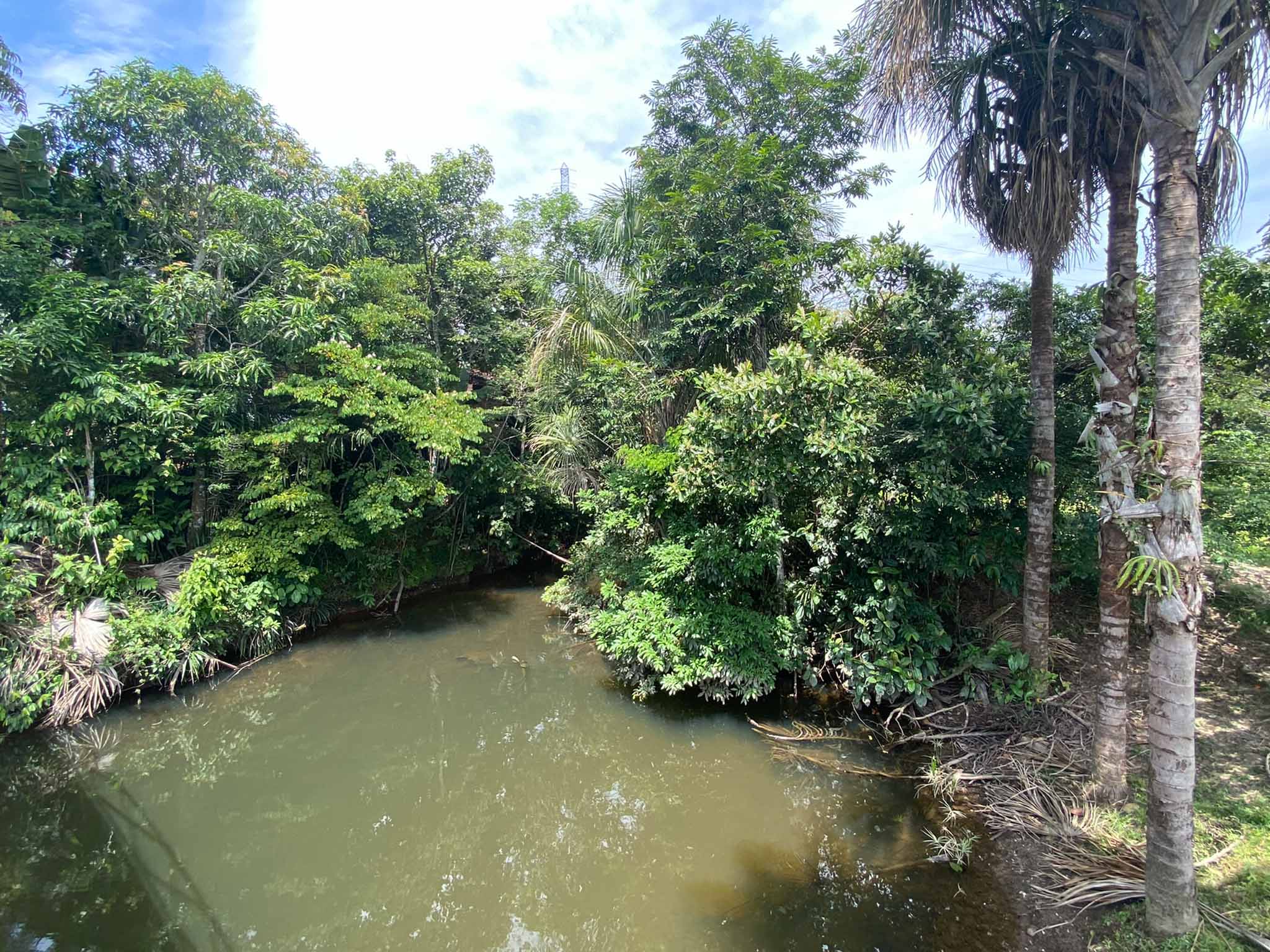 Finca en venta en La Llanerita, Villavicencio, 155 m² · foto 18 de 18