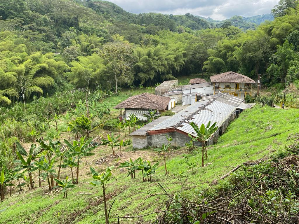 Lote en venta en El Rosario, Manizales, 17000 m² · foto 2 de 9