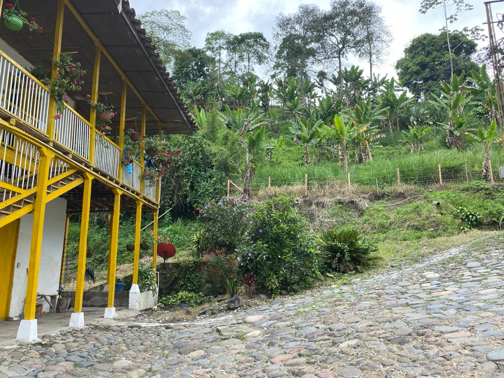 Lote en venta en El Rosario, Manizales, 17000 m² · foto 8 de 9