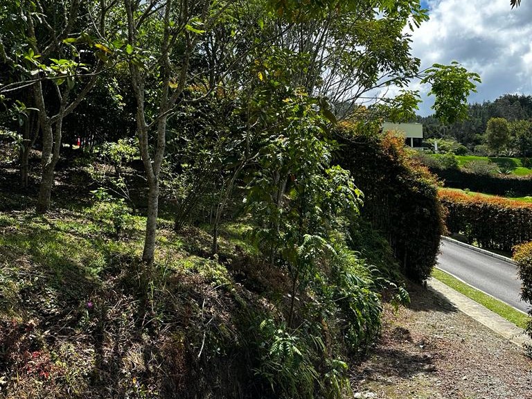 Lote en venta en Vía Las Palmas, Envigado, 2341 m² · foto 12 de 24