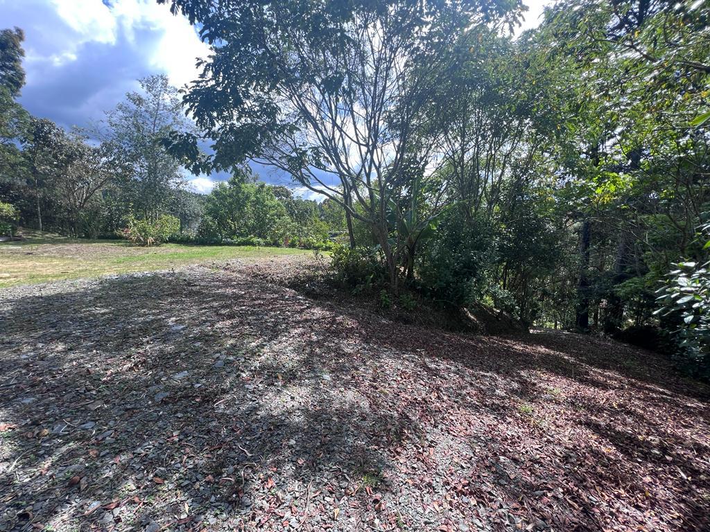 Lote en venta en Vía Las Palmas, Envigado, 2341 m² · foto 15 de 24
