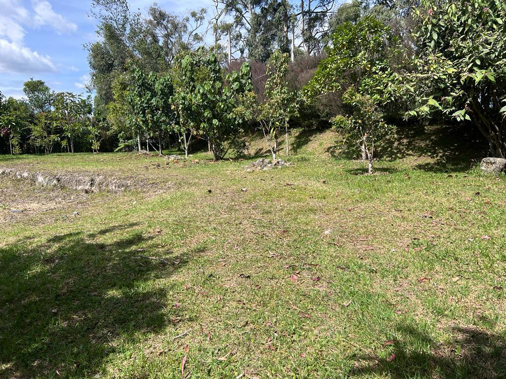 Lote en venta en Vía Las Palmas, Envigado, 2341 m² · foto 22 de 24