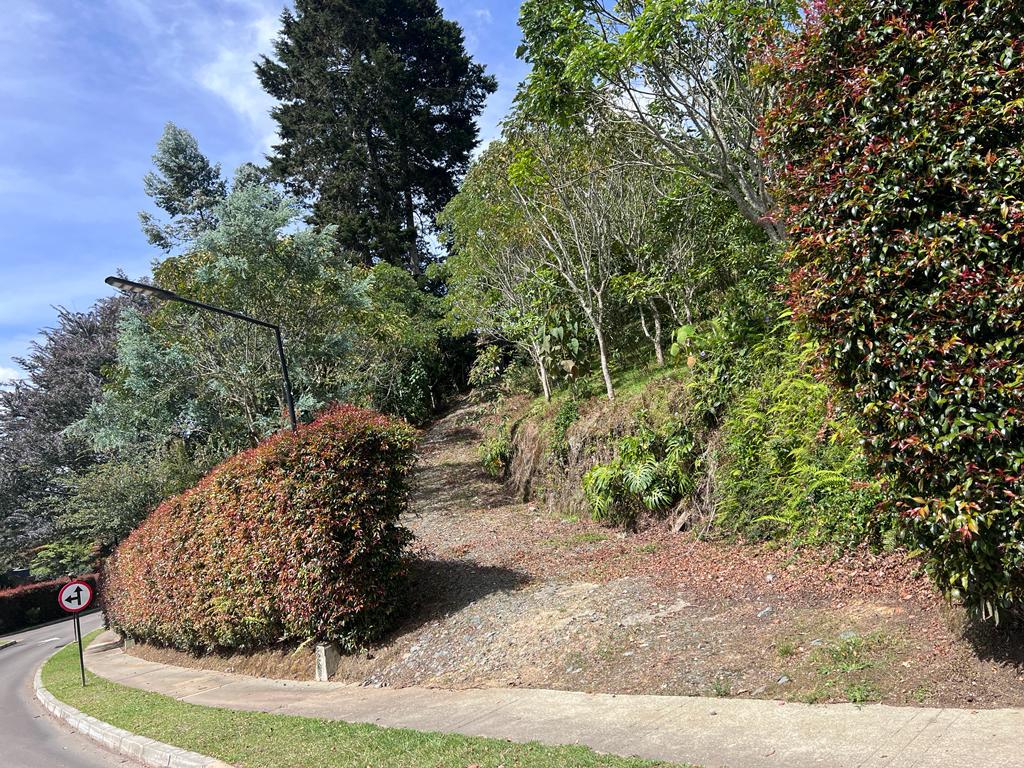 Lote en venta en Vía Las Palmas, Envigado, 2341 m² · foto 3 de 24