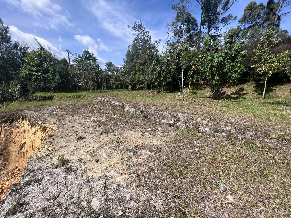 Lote en venta en Vía Las Palmas, Envigado, 2341 m² · foto 5 de 24