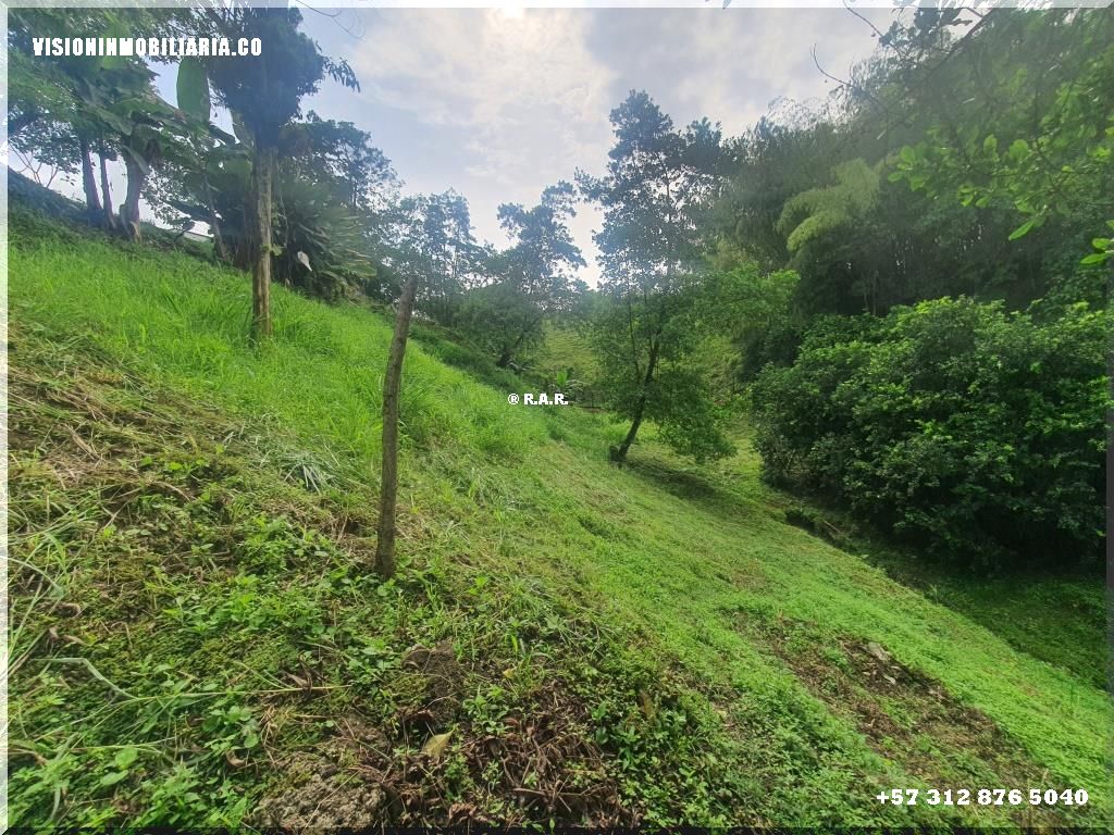 Lote en arriendo en Sector Plaza De Bolivar, Pereira, 5800 m² · foto 10 de 24