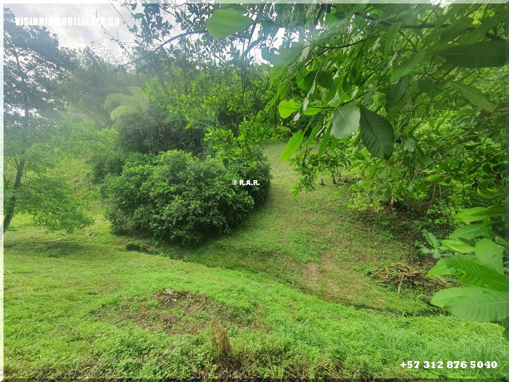 Lote en arriendo en Sector Plaza De Bolivar, Pereira, 5800 m² · foto 11 de 24