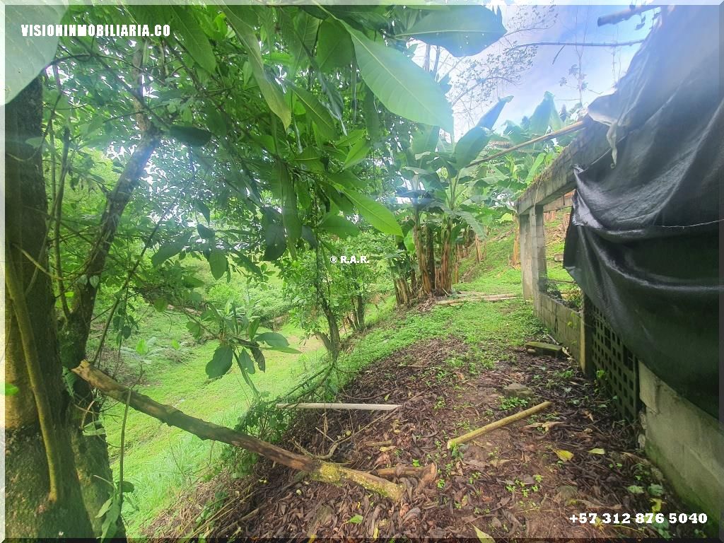 Lote en arriendo en Sector Plaza De Bolivar, Pereira, 5800 m² · foto 12 de 24