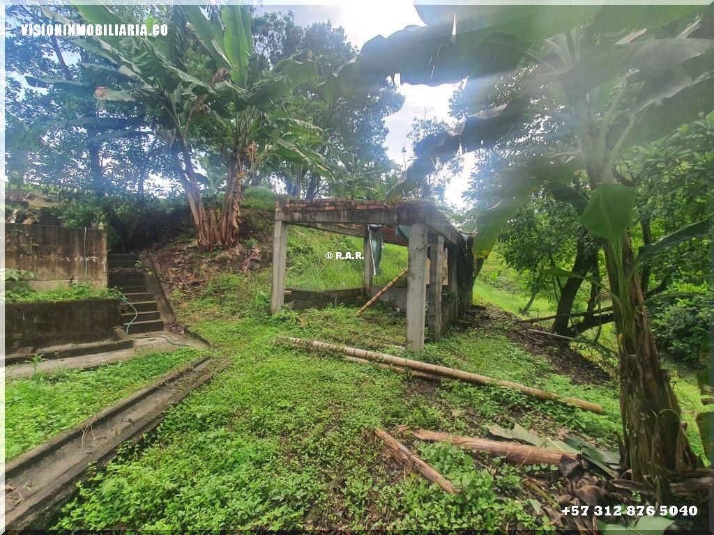 Lote en arriendo en Sector Plaza De Bolivar, Pereira, 5800 m² · foto 15 de 24