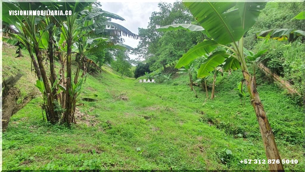 Lote en arriendo en Sector Plaza De Bolivar, Pereira, 5800 m² · foto 18 de 24