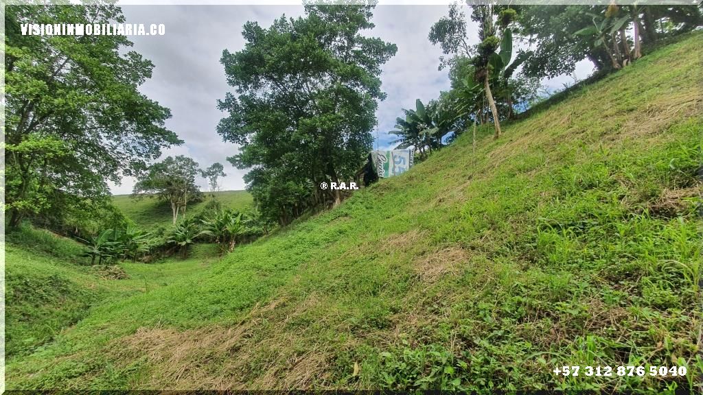 Lote en arriendo en Sector Plaza De Bolivar, Pereira, 5800 m² · foto 19 de 24
