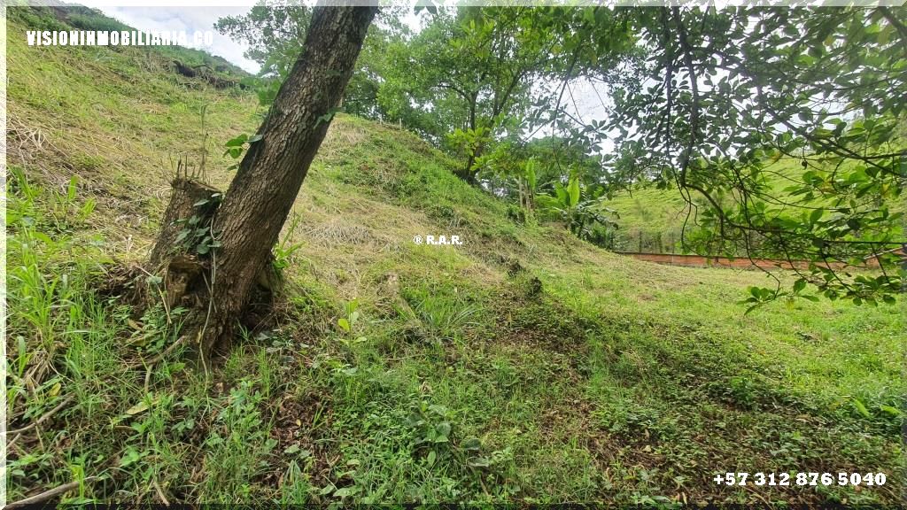 Lote en arriendo en Sector Plaza De Bolivar, Pereira, 5800 m² · foto 20 de 24
