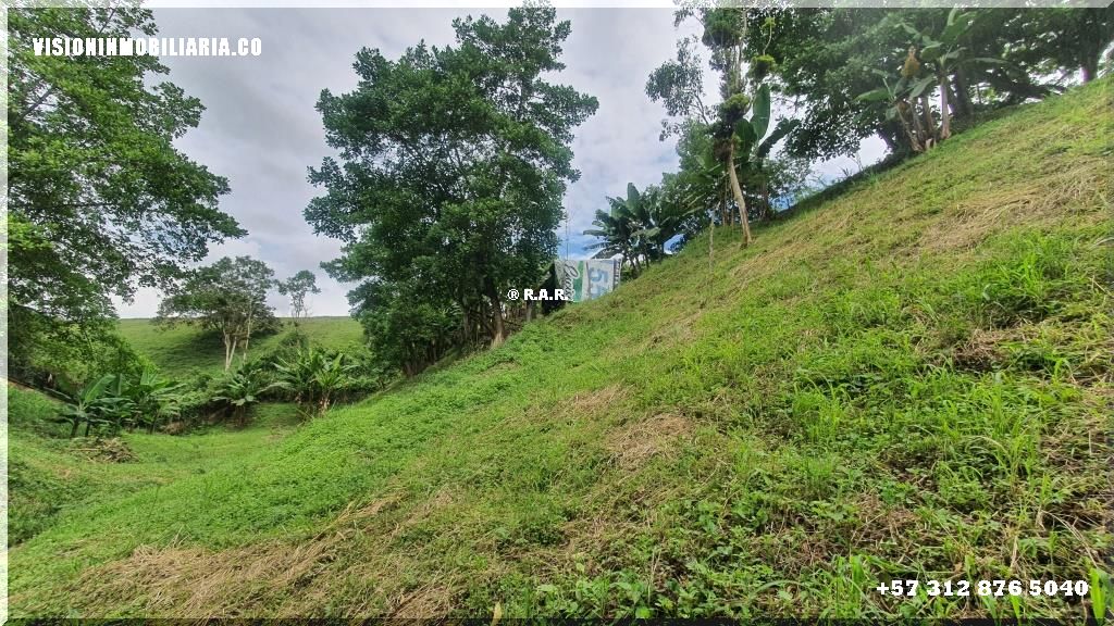 Lote en arriendo en Sector Plaza De Bolivar, Pereira, 5800 m² · foto 21 de 24