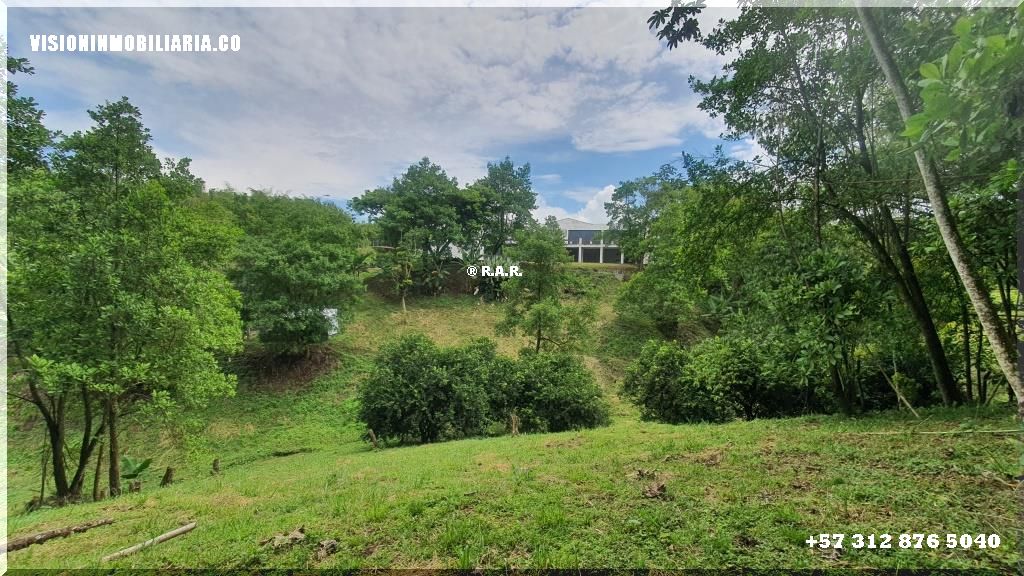 Lote en arriendo en Sector Plaza De Bolivar, Pereira, 5800 m² · foto 23 de 24