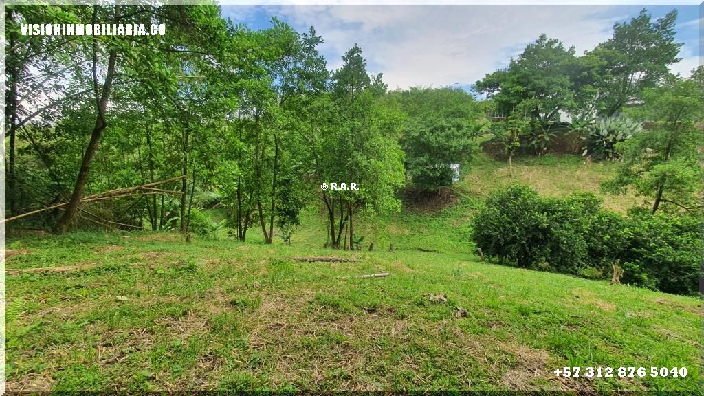 Lote en arriendo en Sector Plaza De Bolivar, Pereira, 5800 m² · foto 24 de 24