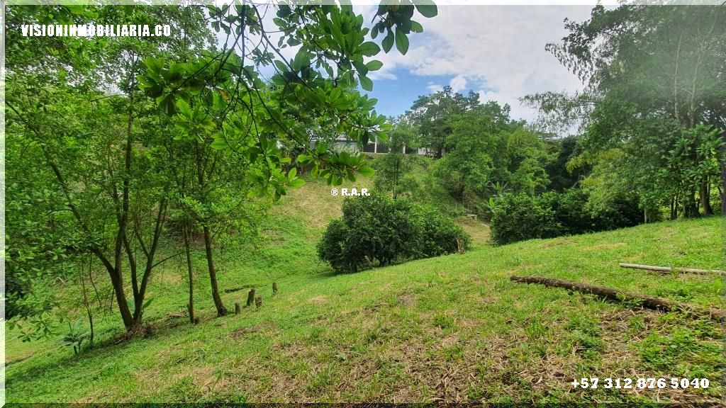 Lote en arriendo en Sector Plaza De Bolivar, Pereira, 5800 m² · foto 2 de 24