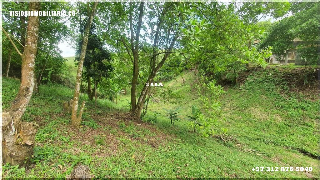 Lote en arriendo en Sector Plaza De Bolivar, Pereira, 5800 m² · foto 3 de 24