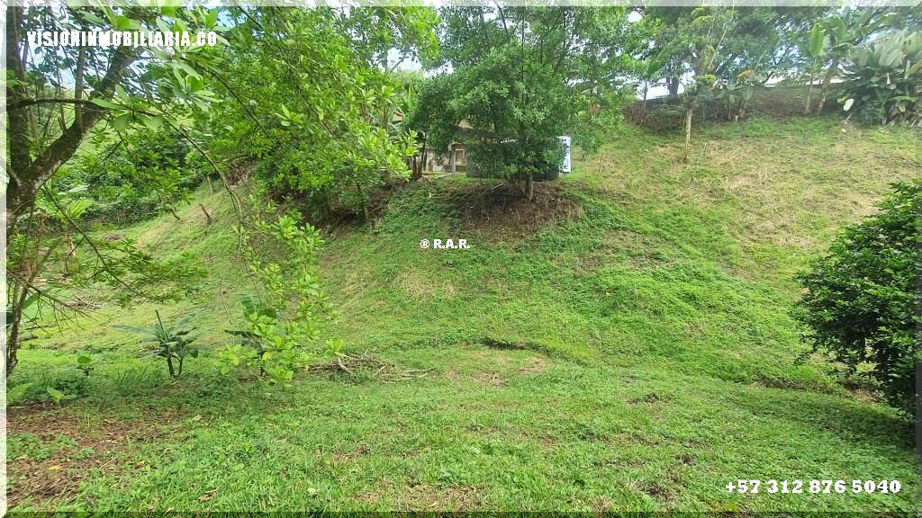 Lote en arriendo en Sector Plaza De Bolivar, Pereira, 5800 m² · foto 4 de 24