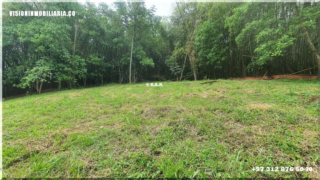 Lote en arriendo en Sector Plaza De Bolivar, Pereira, 5800 m² · foto 5 de 24