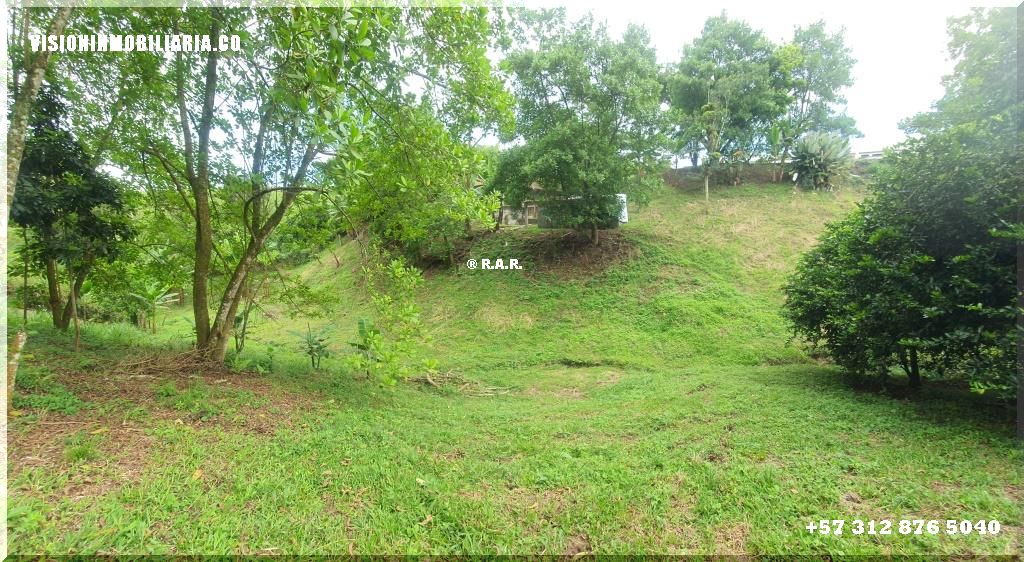 Lote en arriendo en Sector Plaza De Bolivar, Pereira, 5800 m² · foto 6 de 24