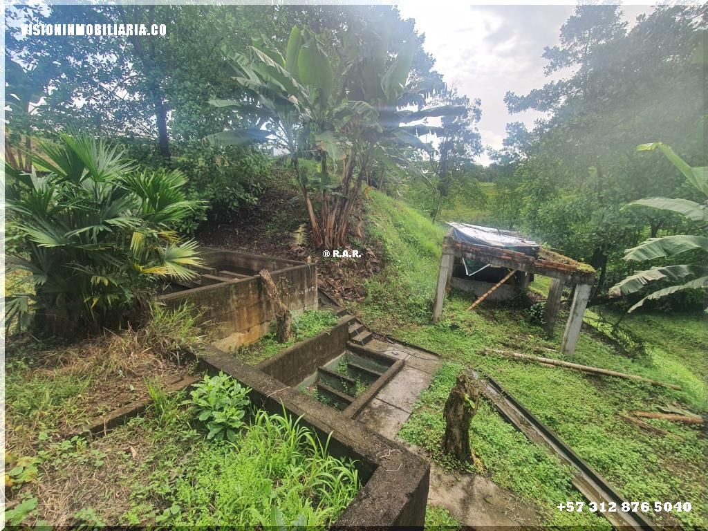 Lote en arriendo en Sector Plaza De Bolivar, Pereira, 5800 m² · foto 7 de 24