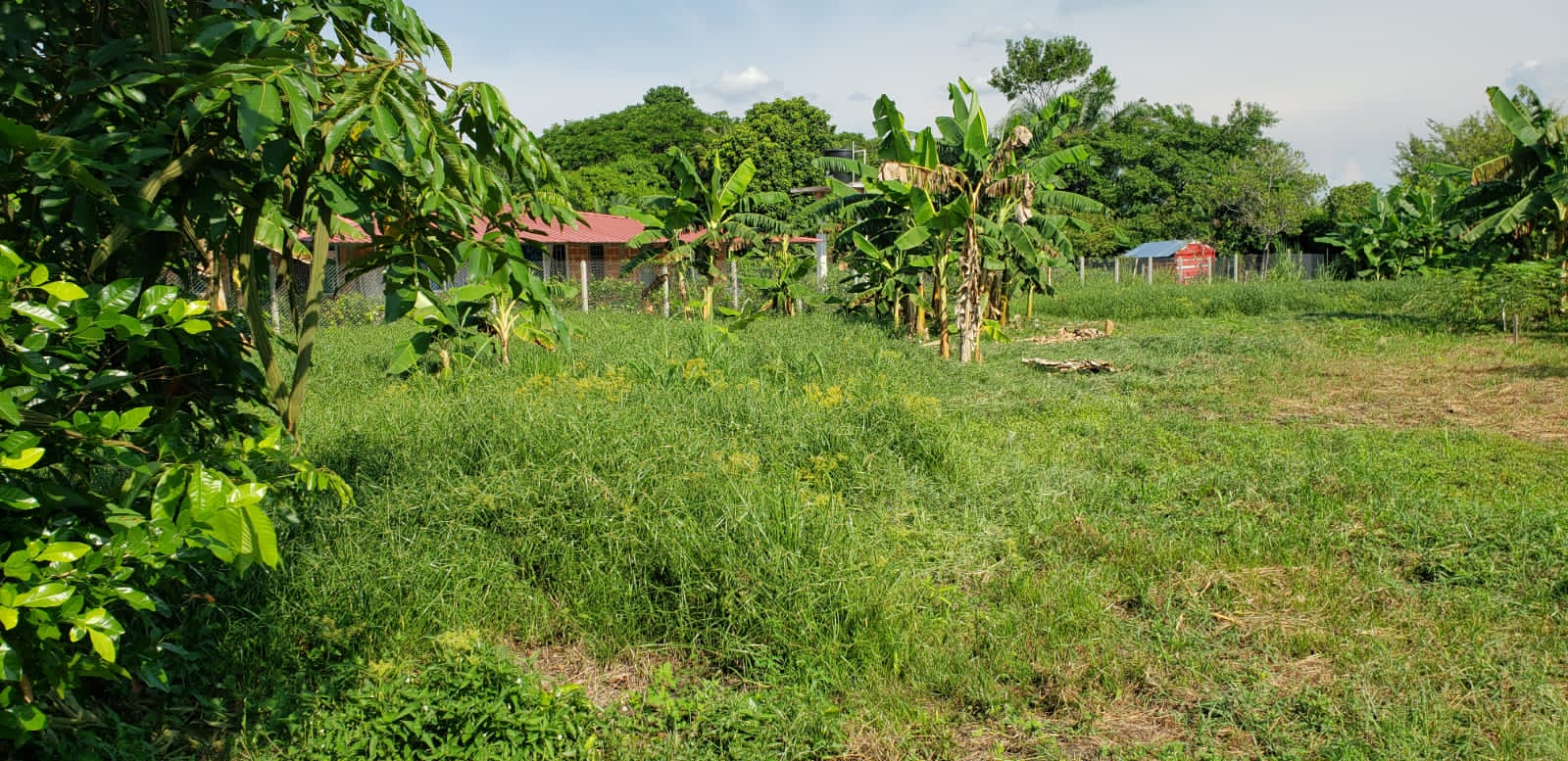 Lote en venta en Apiay, Villavicencio, 10 m² · foto 7 de 24