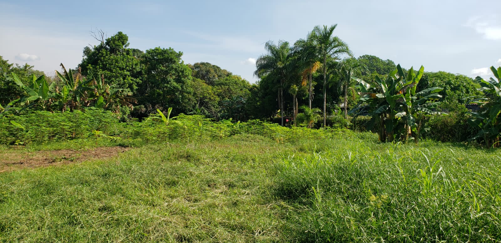 Lote en venta en Apiay, Villavicencio, 10 m² · foto 9 de 24
