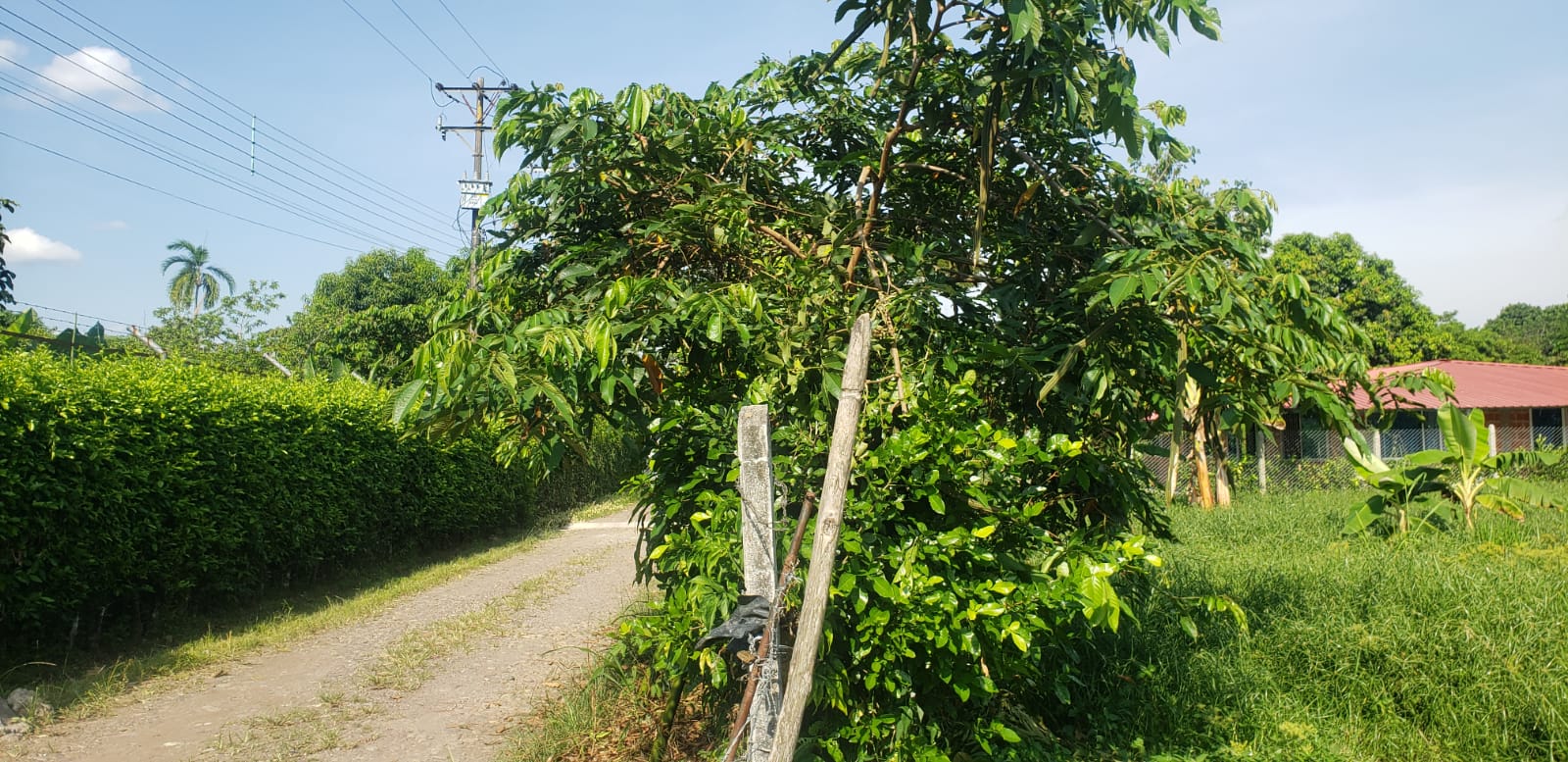 Lote en venta en Apiay, Villavicencio, 10 m² · foto 17 de 24