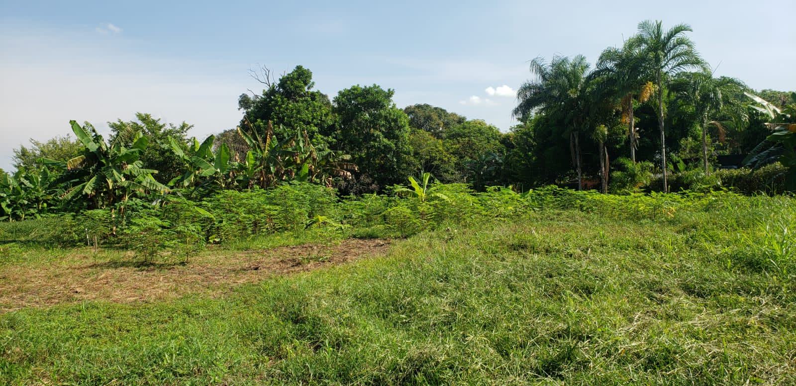Lote en venta en Apiay, Villavicencio, 10 m² · foto 6 de 24