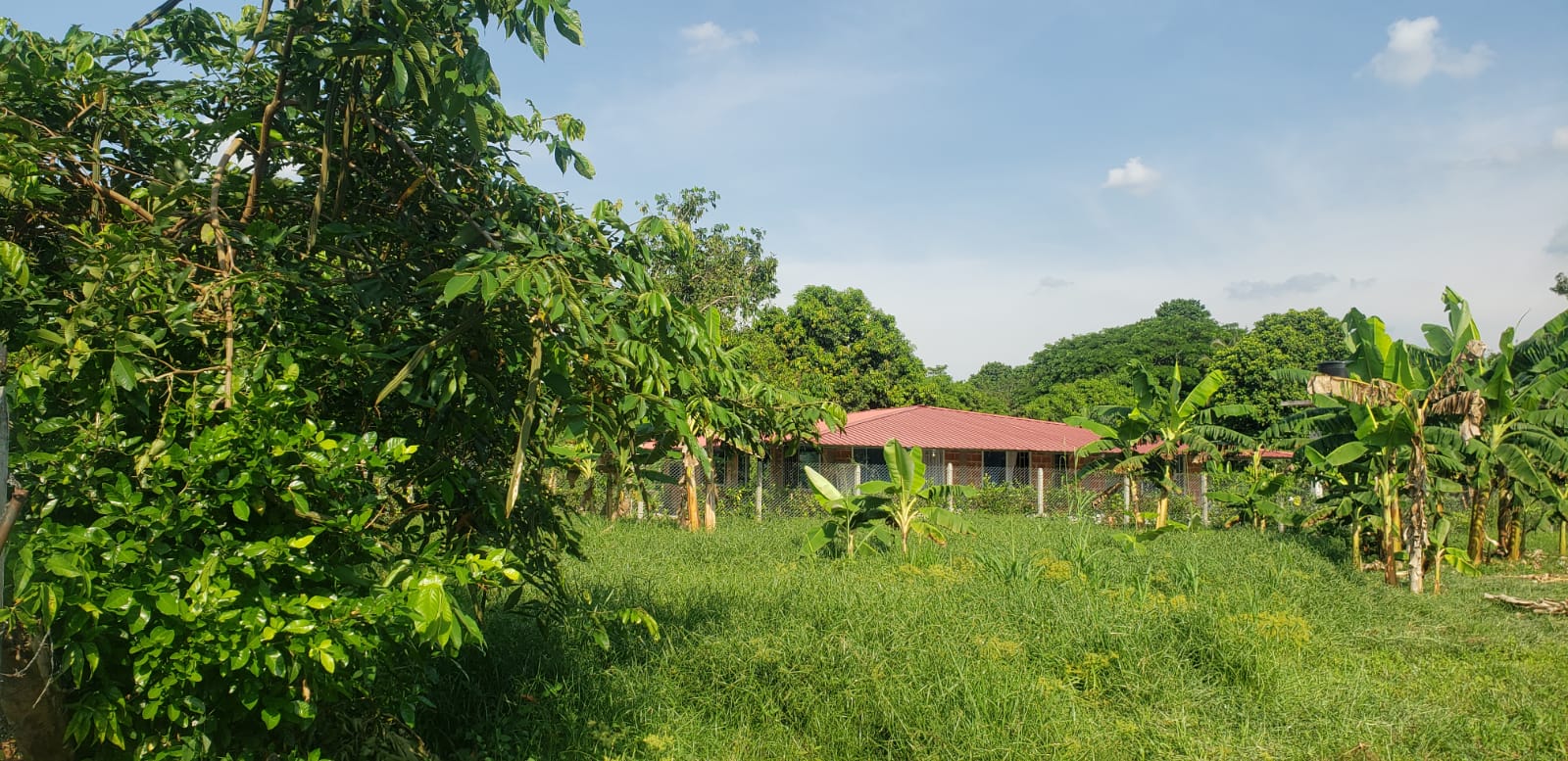 Lote en venta en Apiay, Villavicencio, 10 m² · foto 5 de 24