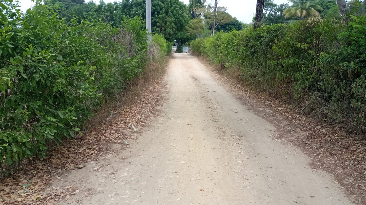 Lote en venta en Ricaurte, 20 m² · foto 11 de 11