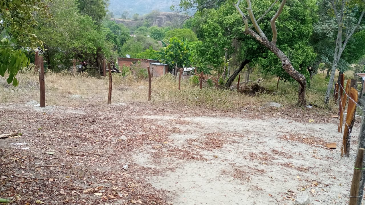 Lote en venta en Ricaurte, 20 m² · foto 2 de 11