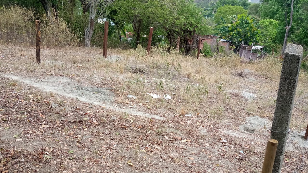 Lote en venta en Ricaurte, 20 m² · foto 4 de 11