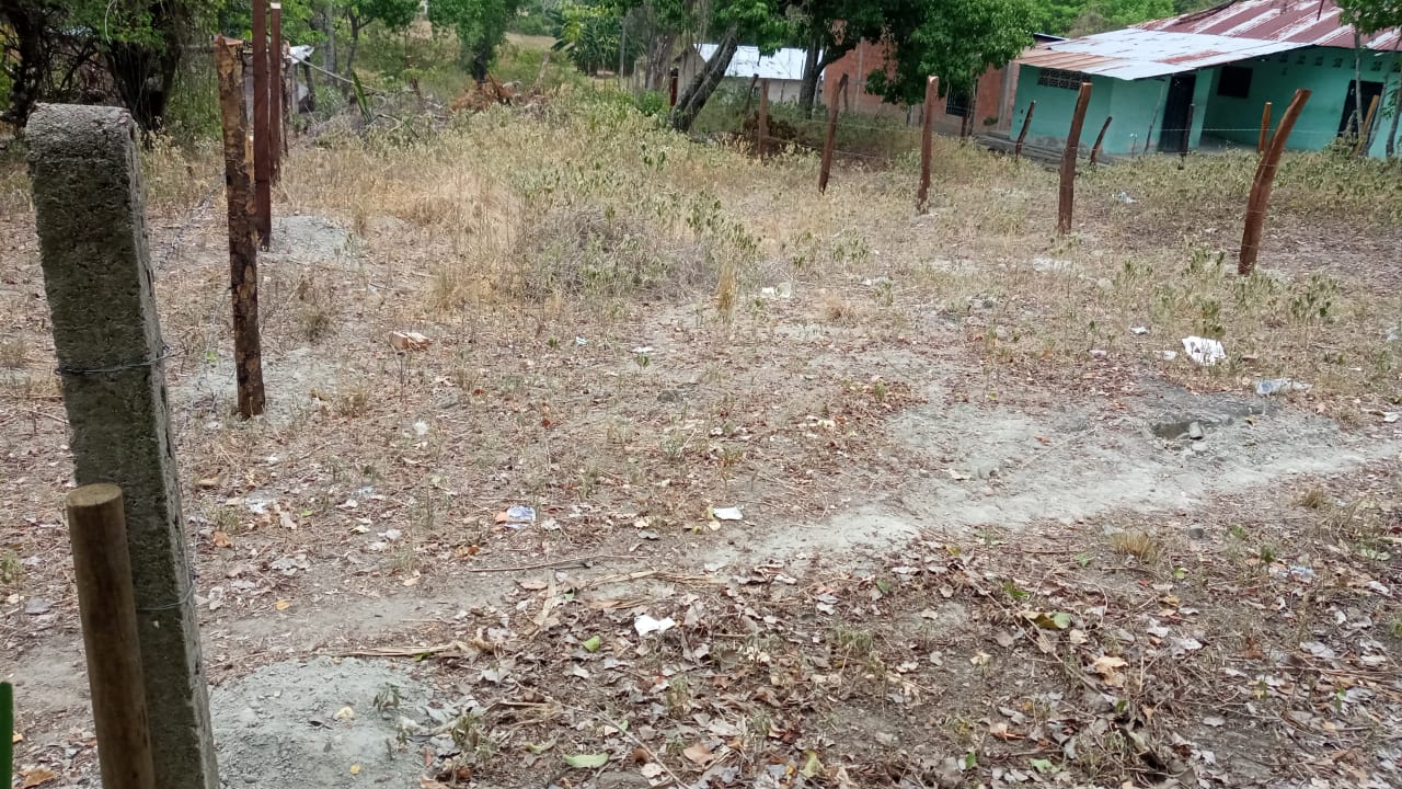 Lote en venta en Ricaurte, 20 m² · foto 5 de 11