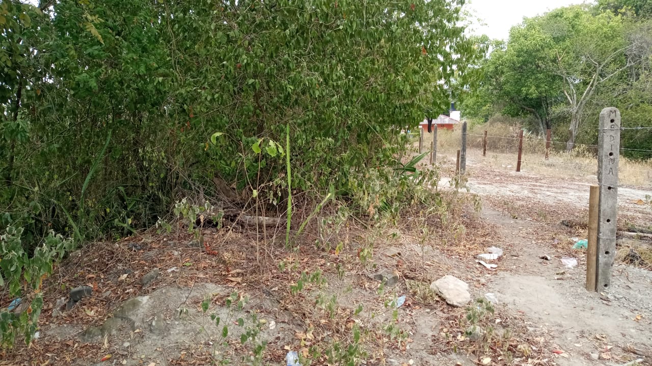 Lote en venta en Ricaurte, 20 m² · foto 8 de 11