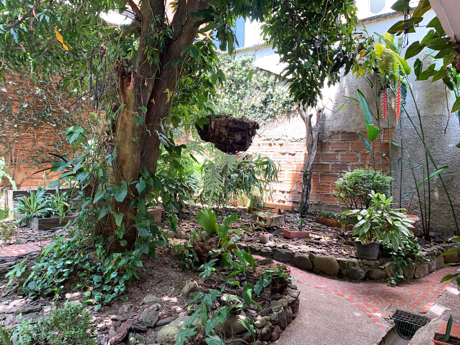 Local en arriendo en El Portal, Envigado, 251 m² · foto 10 de 10