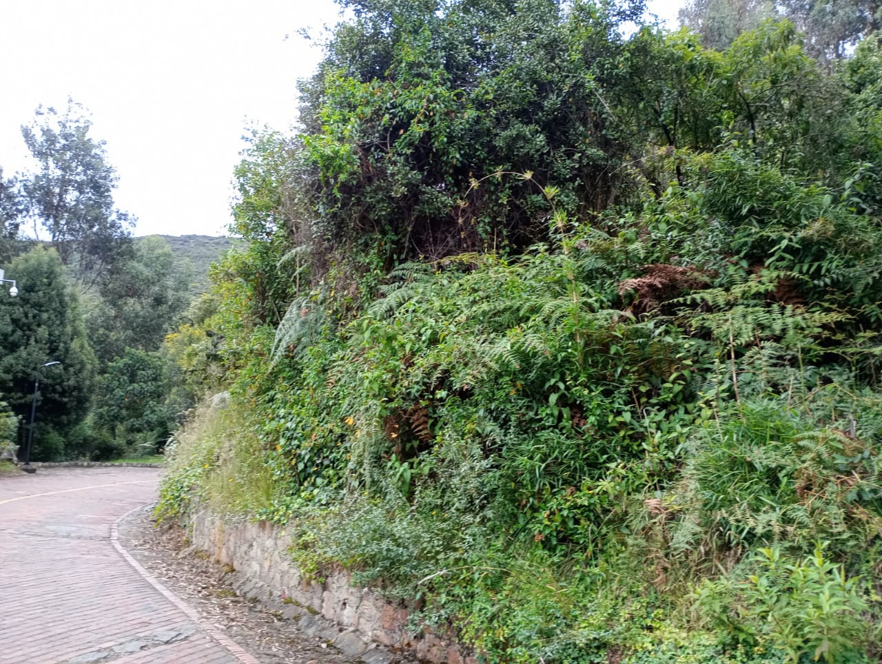 Lote en venta en Fusca, Chía, 3219 m² · foto 11 de 24