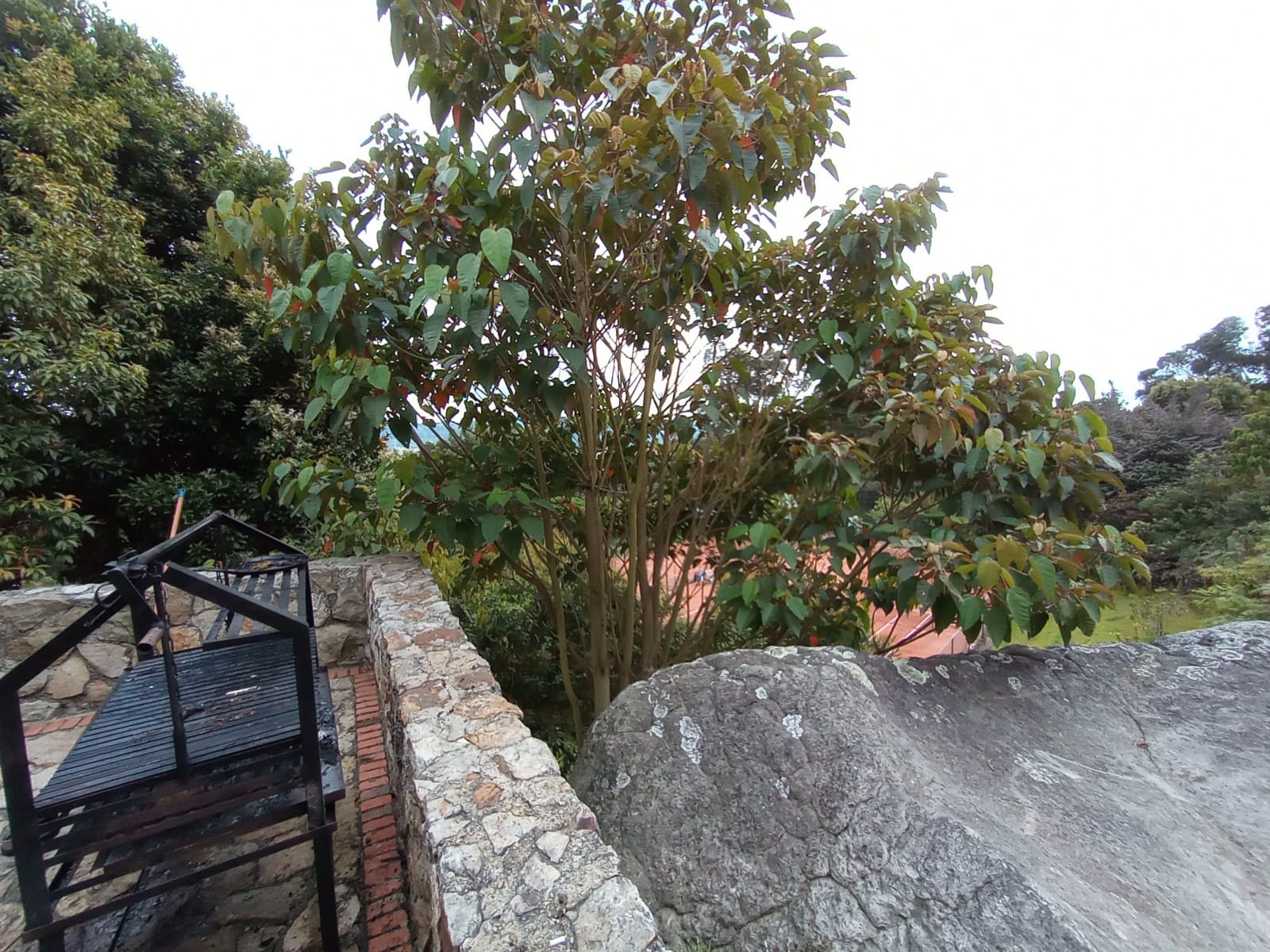 Lote en venta en Fusca, Chía, 3219 m² · foto 16 de 24