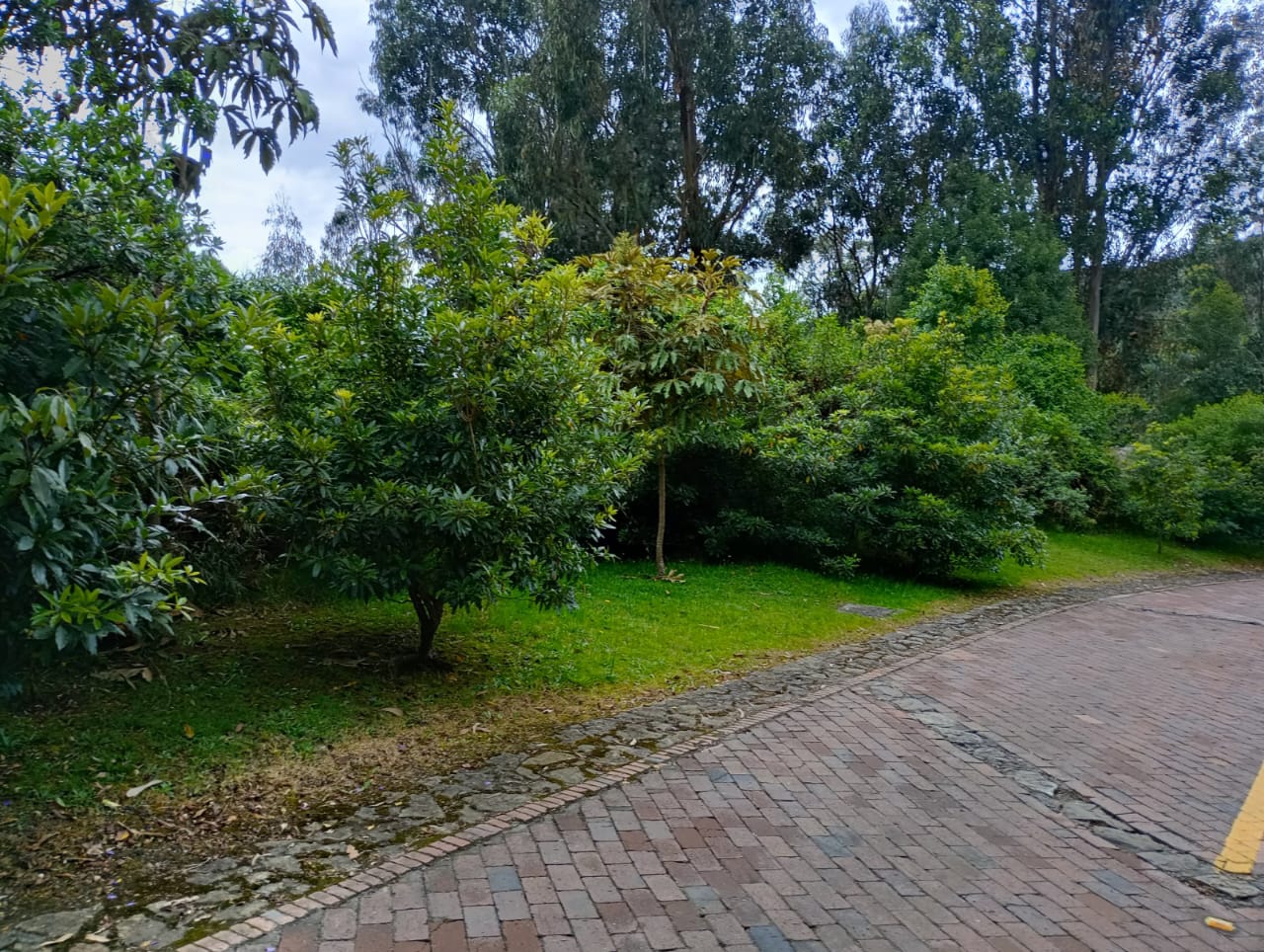 Lote en venta en Fusca, Chía, 3219 m² · foto 20 de 24