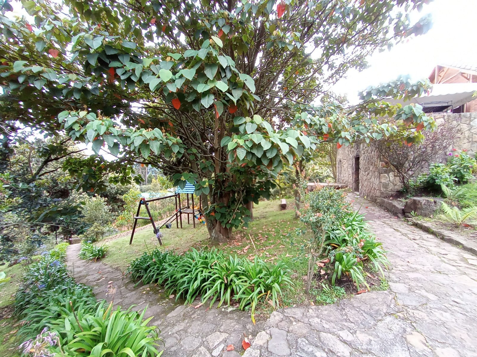 Lote en venta en Fusca, Chía, 3219 m² · foto 3 de 24