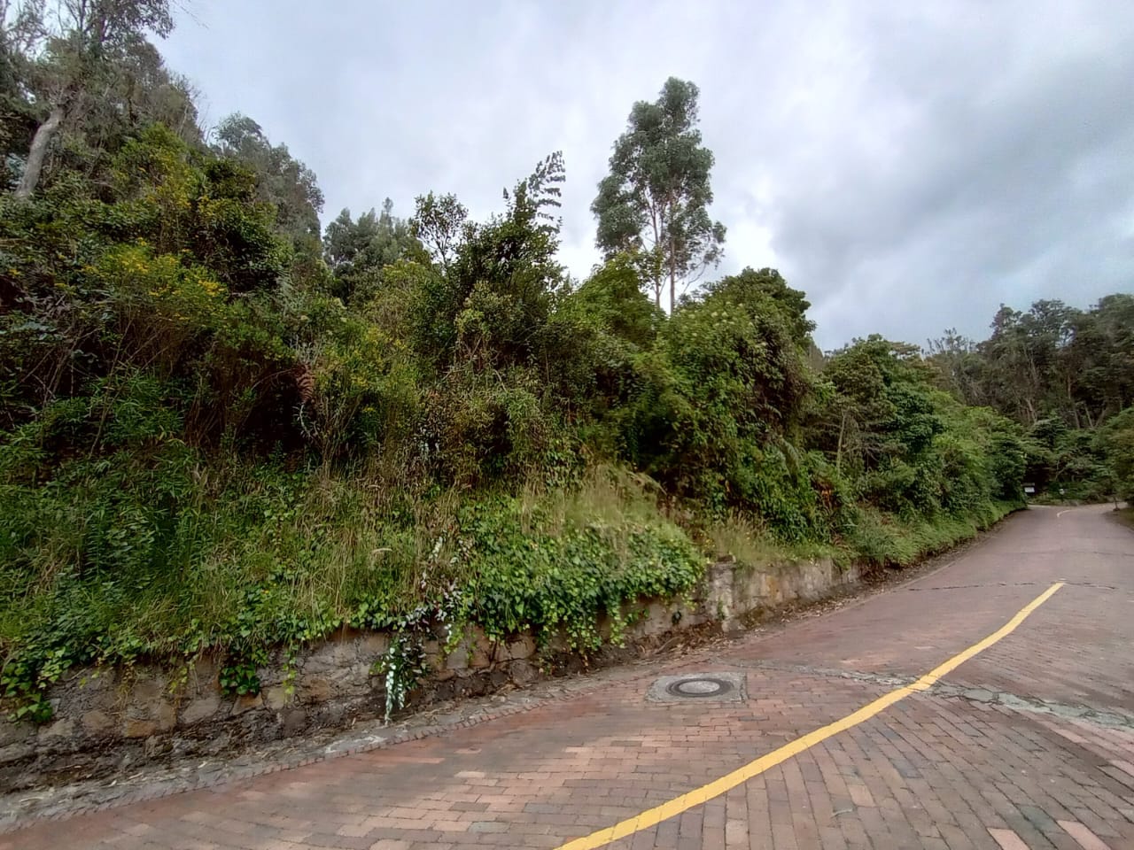 Lote en venta en Fusca, Chía, 3219 m² · foto 4 de 24