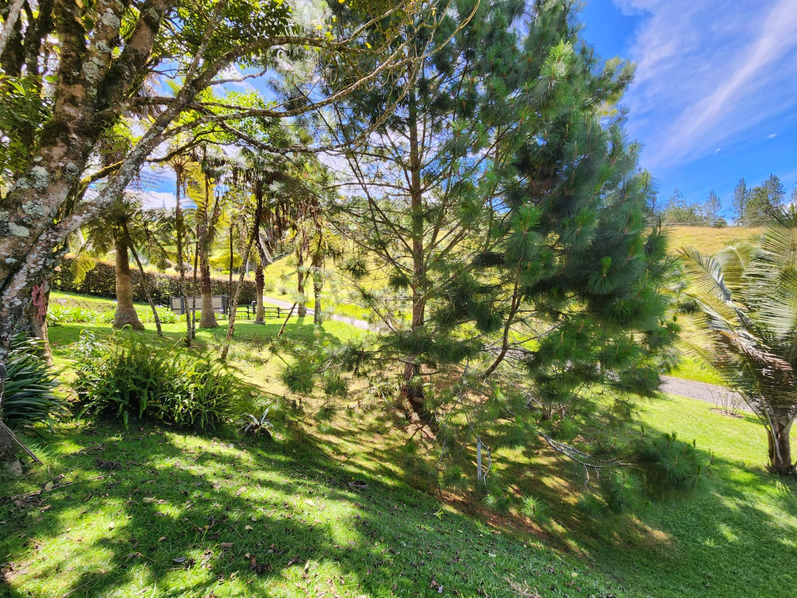 Lote en venta en El Retiro, 5000 m² · foto 12 de 15